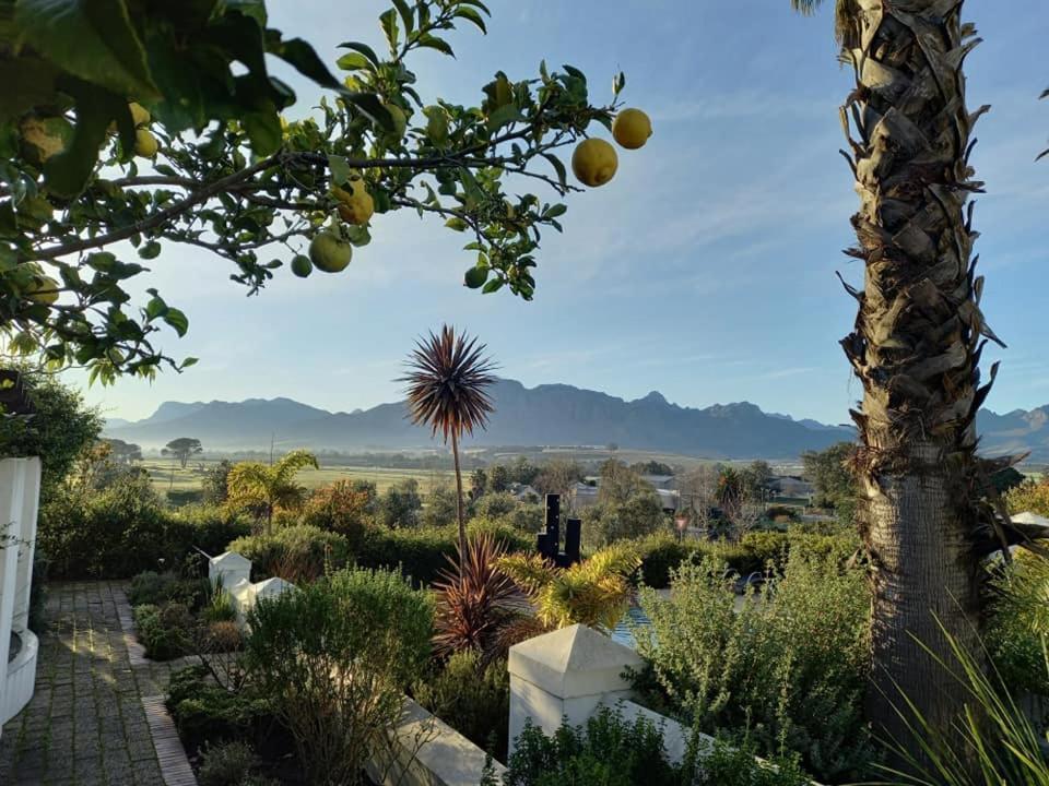 Wild Mushroom Country House Stellenbosch Dış mekan fotoğraf