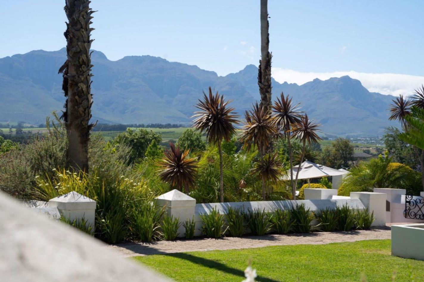 Wild Mushroom Country House Stellenbosch Dış mekan fotoğraf