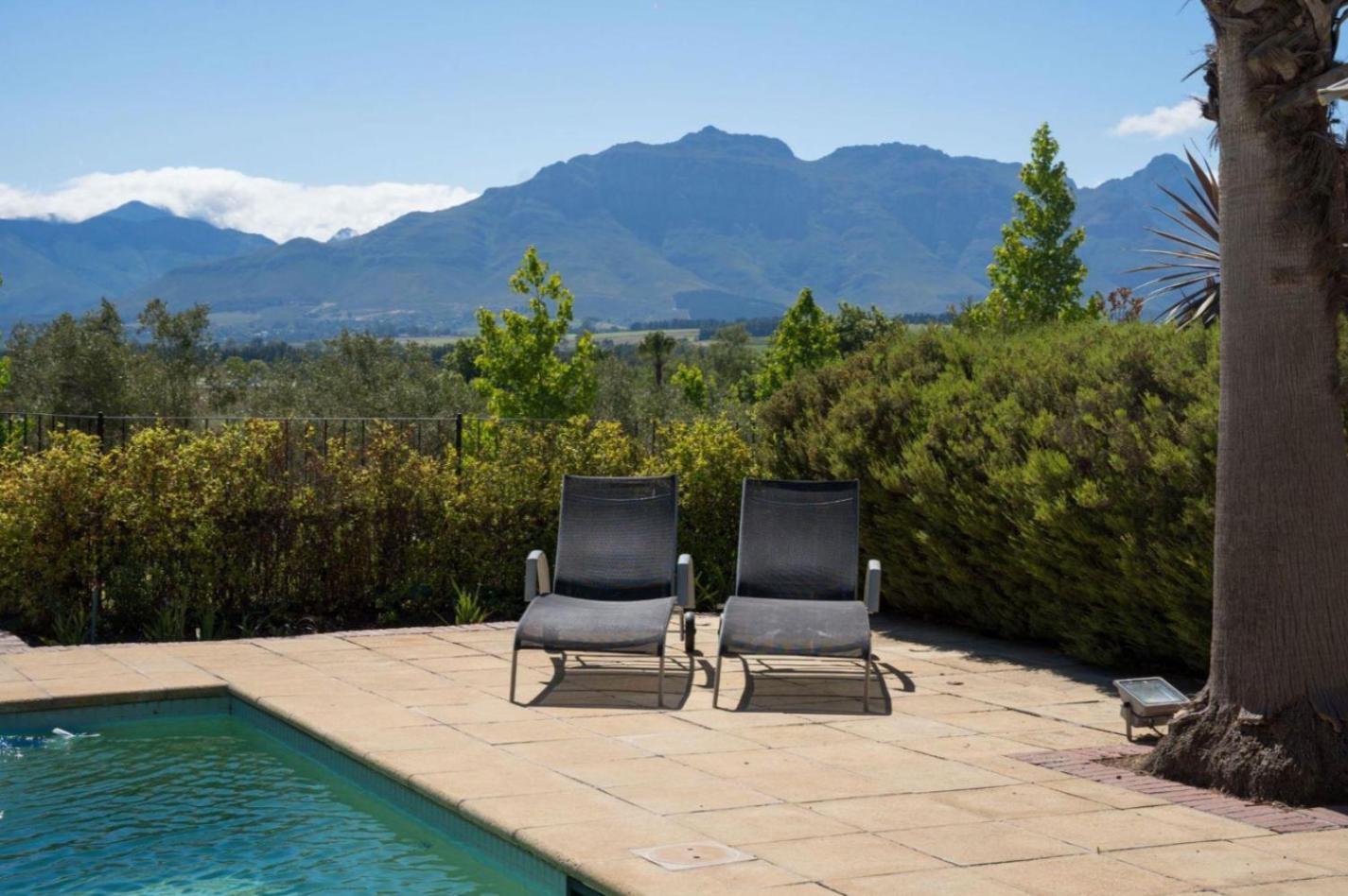 Wild Mushroom Country House Stellenbosch Dış mekan fotoğraf